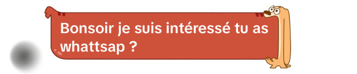 Message reçu sur TikTok